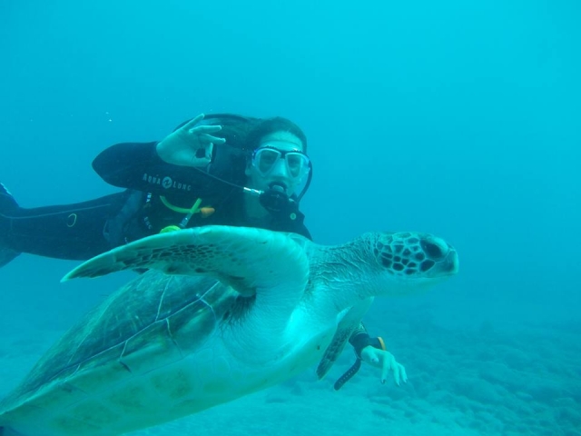  Immersioni tra le tartarughe