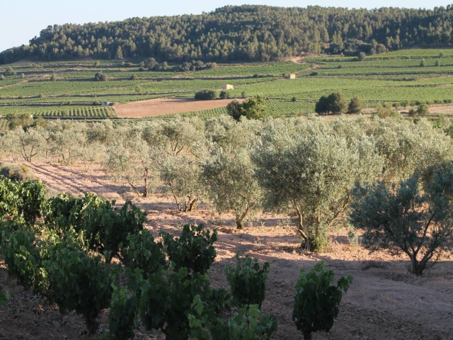 Zona la Portera