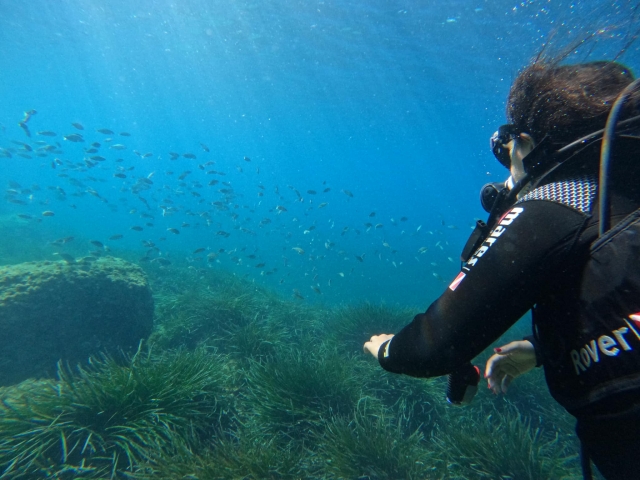  PADI Advanced in Alicante 