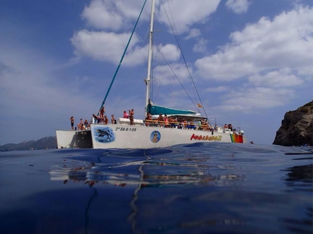 Excursion en catamaran a vela