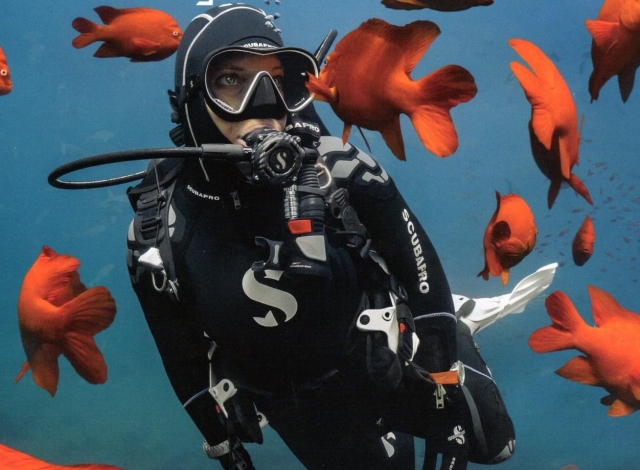 Taucher umgeben von Fischen 