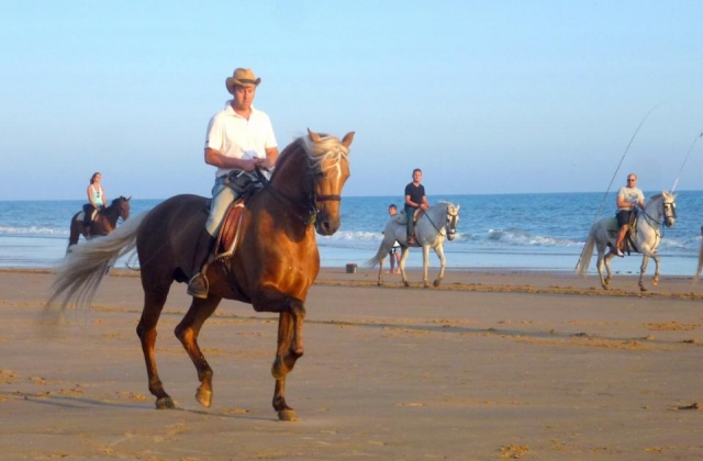  Liberdade a cavalo 