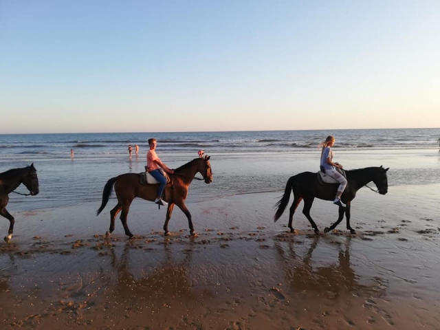Salida a caballo con luna llena 
