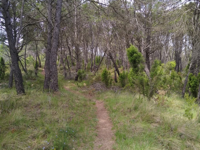  Partez en randonnée dans le parc naturel de la Sierra de Espadán 