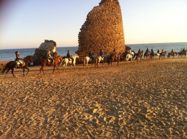 Paseo por Doñana a caballo 