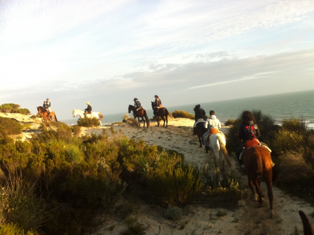 Ruta a caballo por Doñana