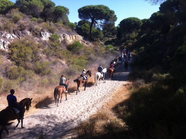 Excursión a caballo en Doñana