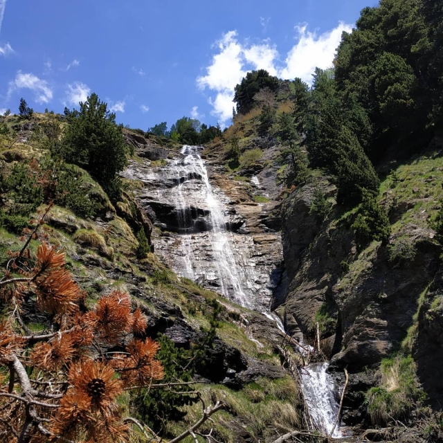  Nature des Pyrénées 