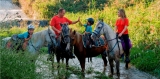 Equestrian camp with languages in Novallas 1 week
