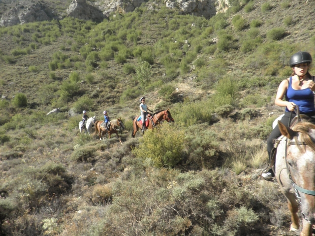 Campamento de hípica en Novallas