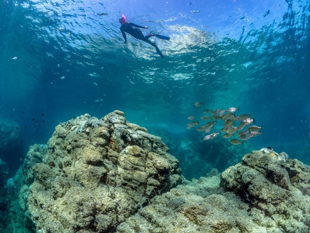  Snorkeling em San José 