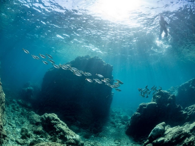  Snorkeling 