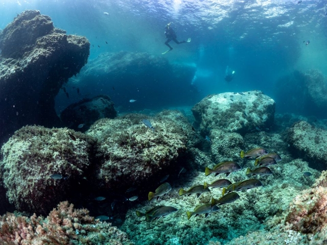  Snorkeling em Cabo de Gata
