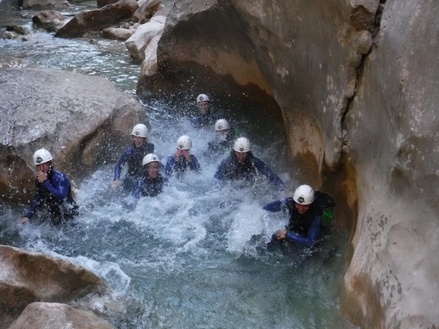  Tout le monde dans la piscine 