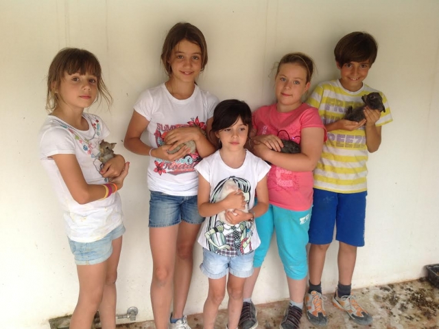  Con gli animali della nostra fattoria scolastica 