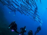 Bautismo de buceo 6 metros puerto Cabo de Palos 3h