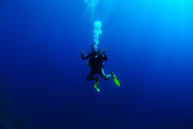 沉浸式 PADI 课程 