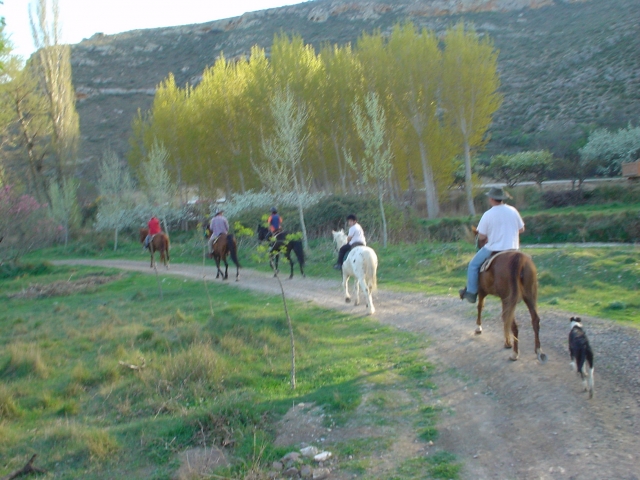 Paseo ecuestre en el Moncayo