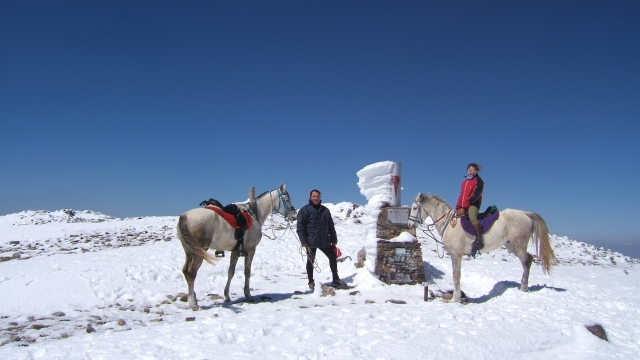 Ruta a caballo por la nieve del Moncayo