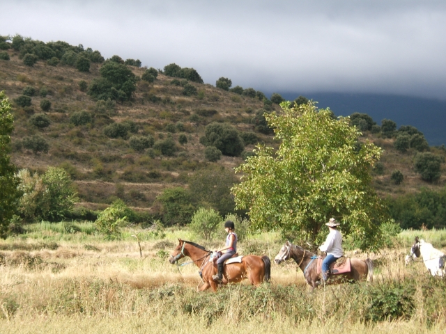 Explorando el Moncayo a caballo