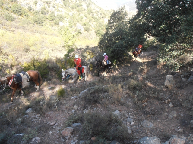 Ruta ecuestre por el sendero del Moncayo