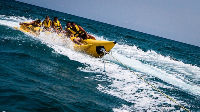  Atravessando o mar em banana javali 