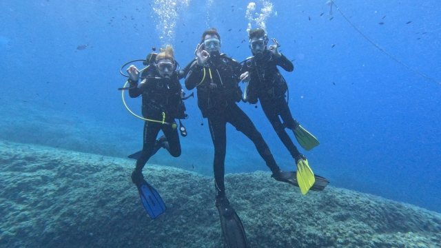 PADI Diving Baptism in Port d'Andratx, 4h