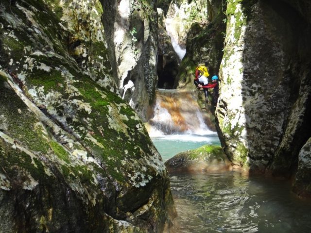  In the aquatic ravine 