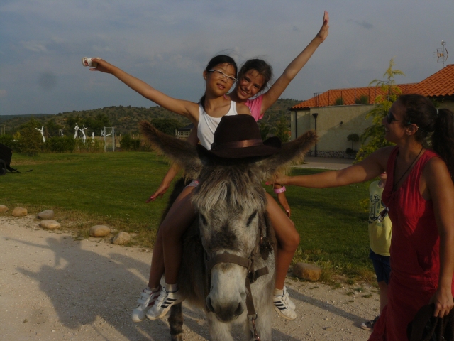  Reiten auf einem Esel 
