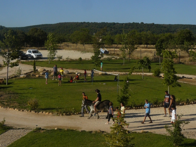 Parklandschaft