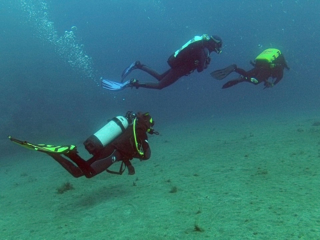  Diving as a team 