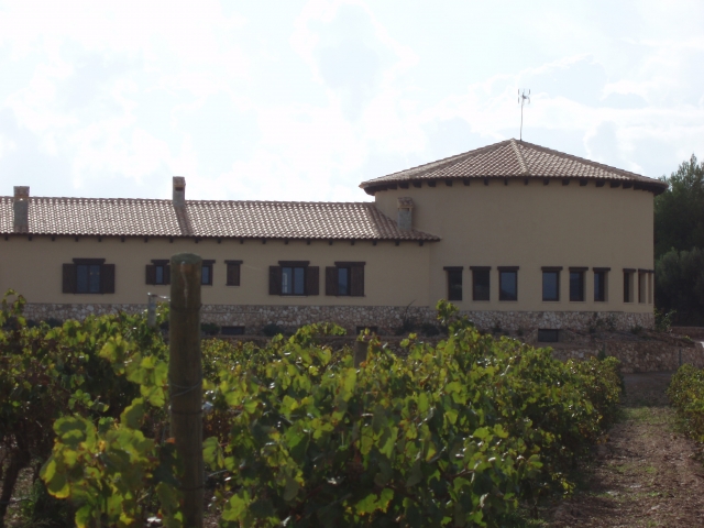 Bodegas