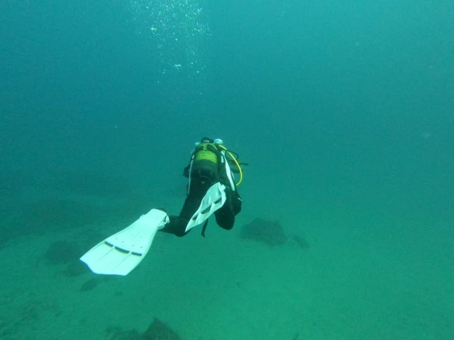  con guía instructor 