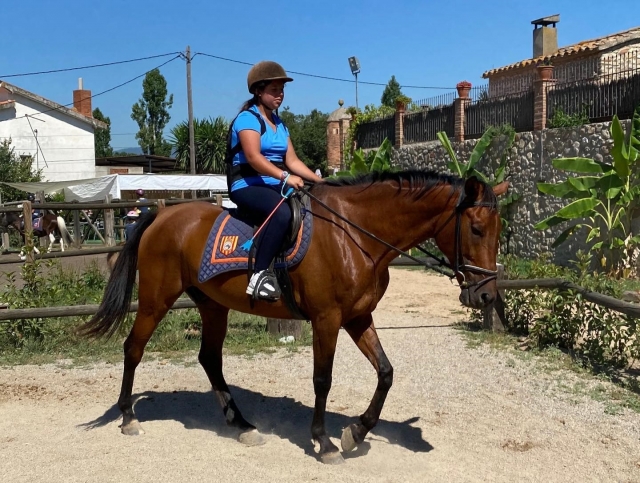  Montez sur le dos d'un de nos chevaux dans le Valles 