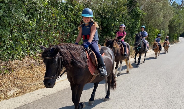 Disfruta de una paseo a caballo por la comarca del Valles oriental
