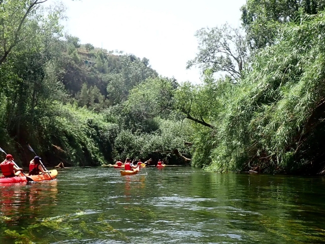 Aluguel de canoa no Canal de Migjorn, 8 horas