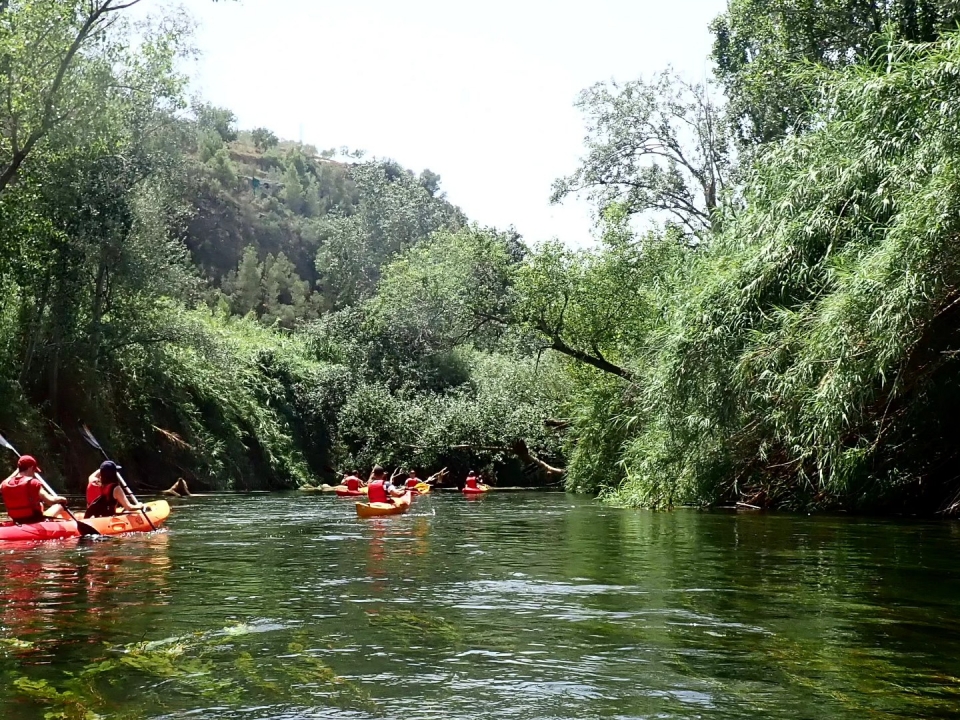 埃布罗河上的独木舟 