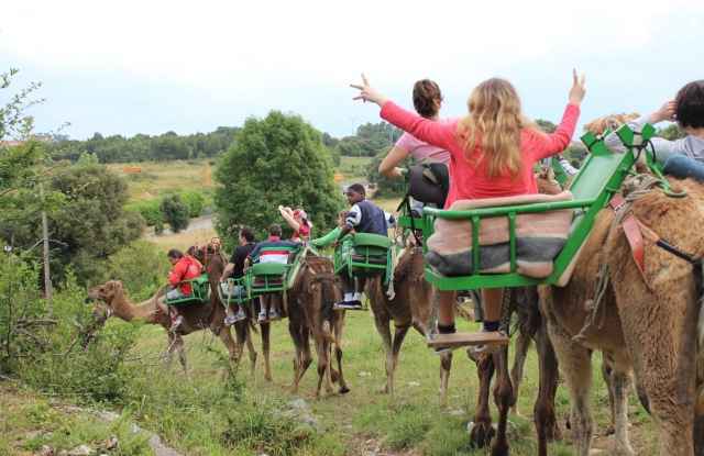  Camel route through Noja 