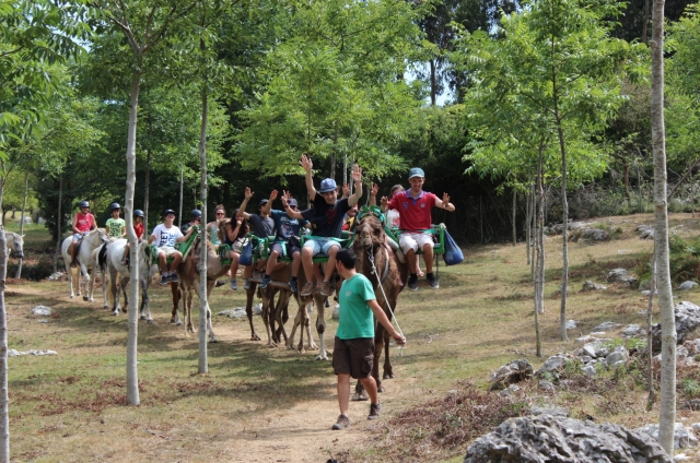  About the dromedaries during the route 