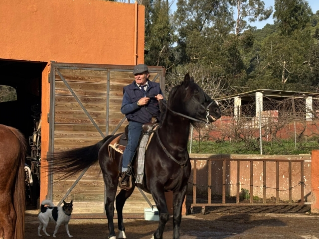  骑马穿越蒙特内格里 