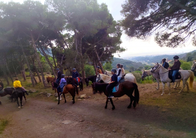  骑马穿越蒙特内格里地块 