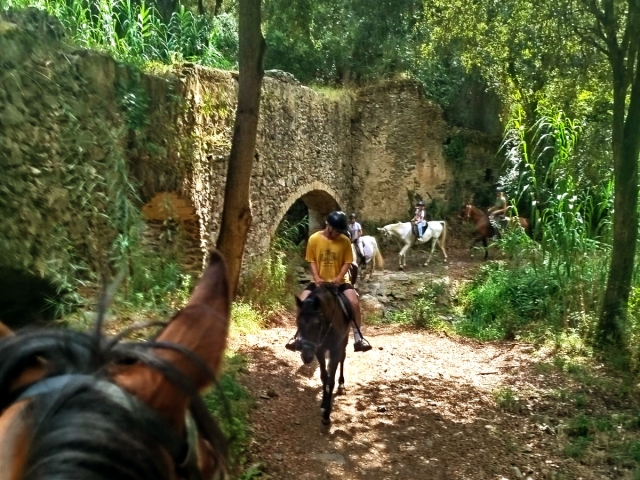  骑马穿越蒙特内格里