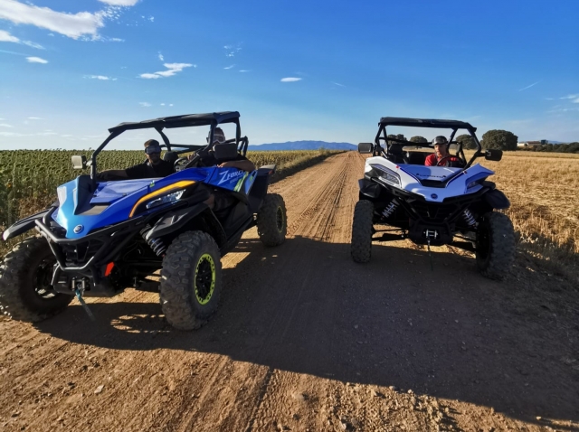 Buggies recorriendo los caminos a todo gas