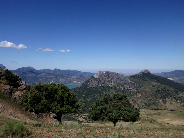 Landscapes of Ronda 
