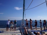 Paseo en catamarán + Comida (3h) Valencia - adulto