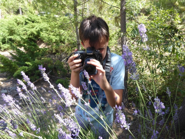  Cours de photographie en plein air 