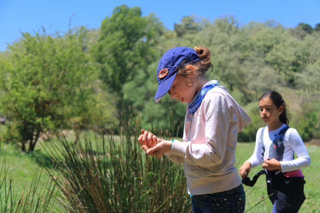  Meninas brincando no campo 