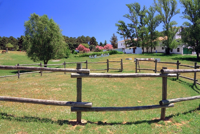  Estábulo na fazenda escola 