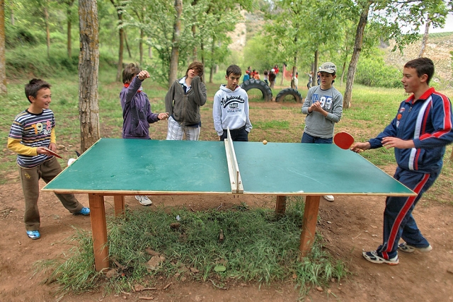  Table de ping-pong 