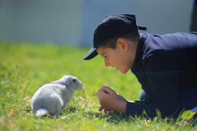  Ferme-école avec différents animaux 